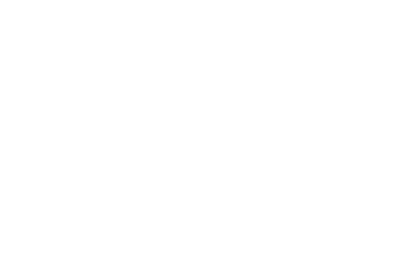 1st Place · Fortnight, Capital City 2022 — Lone Wolf
