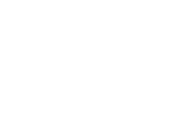 Official Selection · North By Midwest 2017 — Shitada